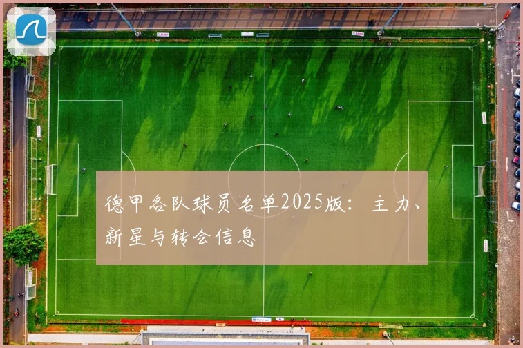德甲各队球员名单2025版：主力、新星与转会信息